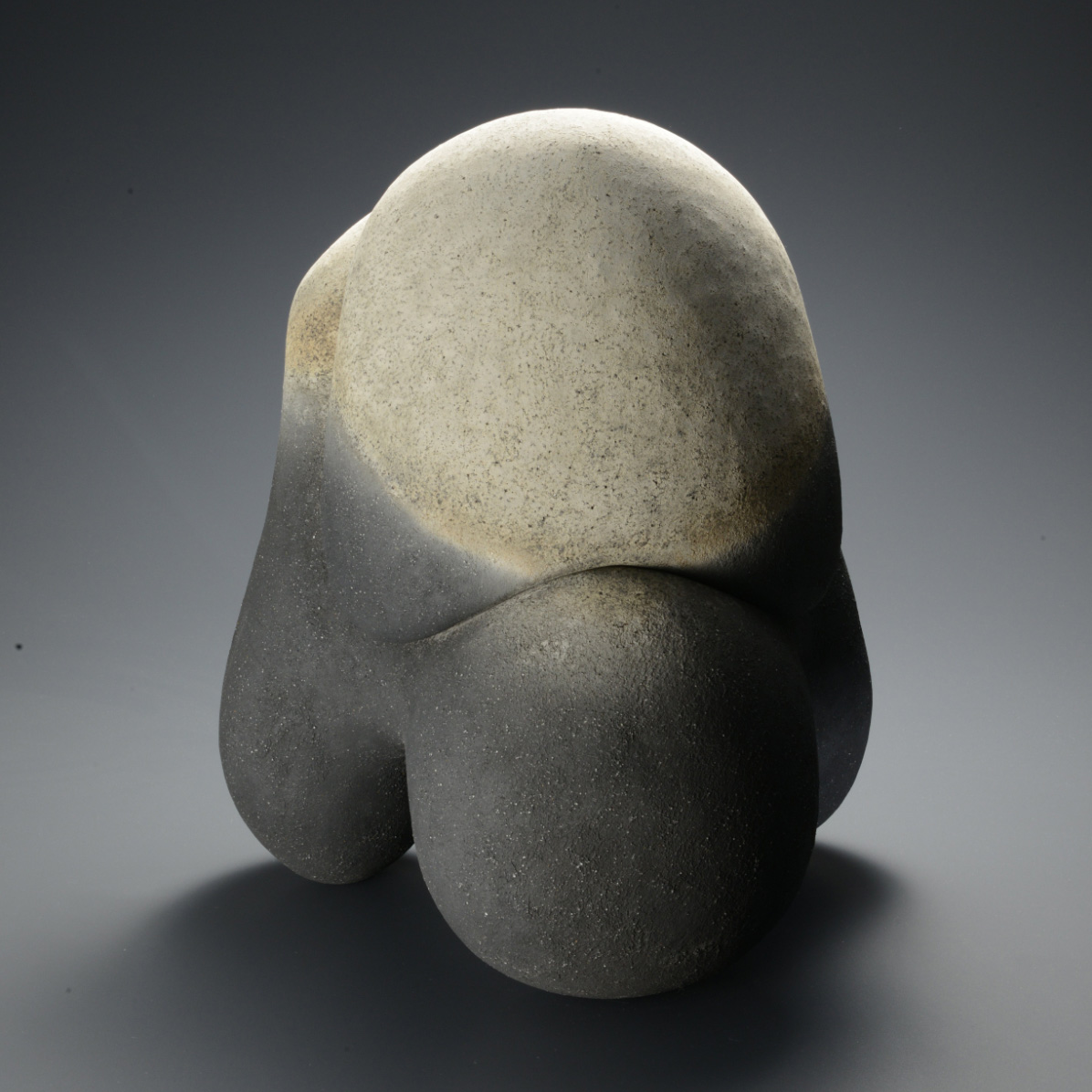 【受賞】22_五味 謙二